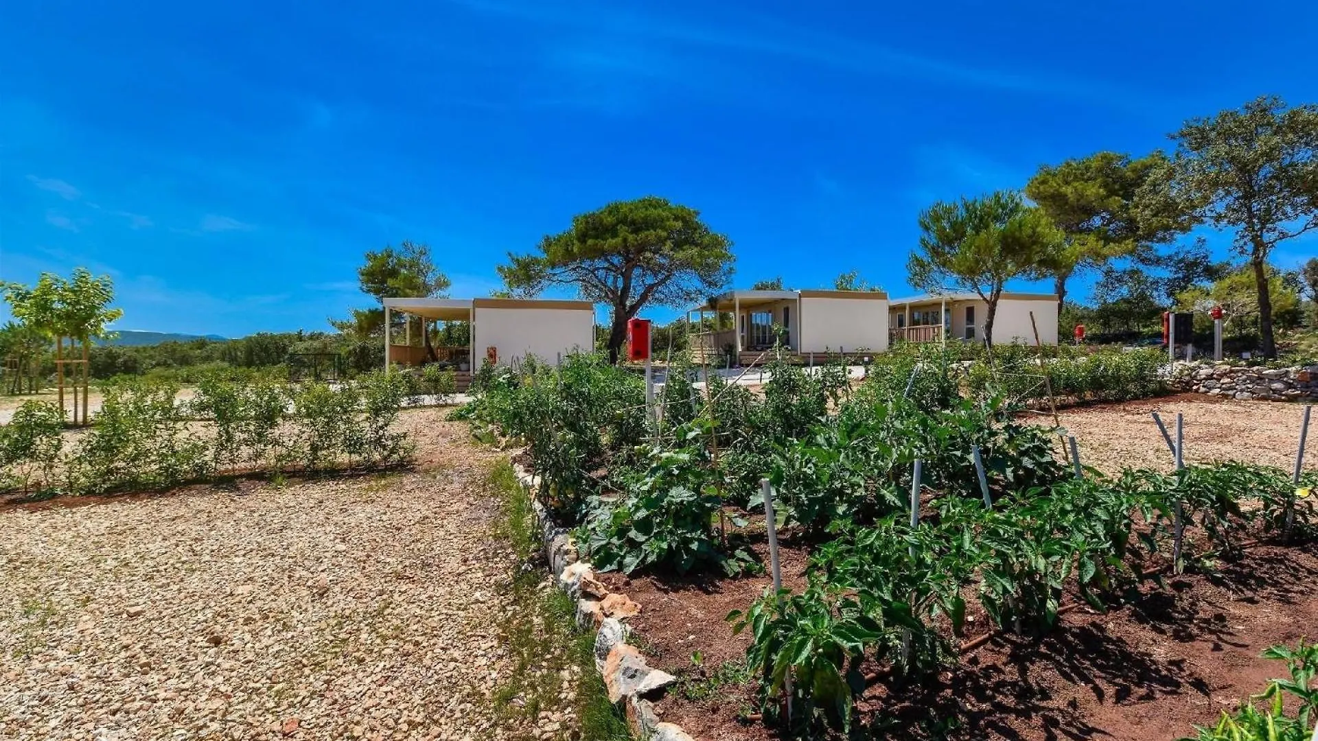 Studio Premium Mobilheim Auf Dem Campingplatz Ugljan Resort Κροατία